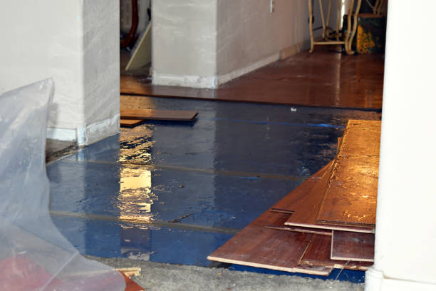 Professional Basement Flood Cleanup technician working in Asbury Park, NJ